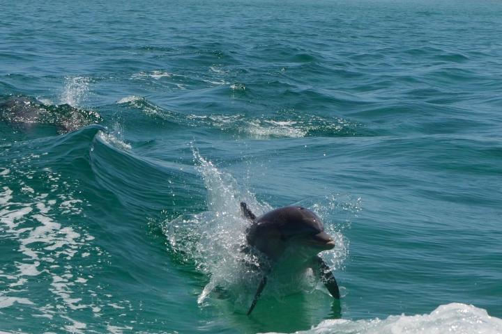 a person riding a wave on a surfboard in the ocean