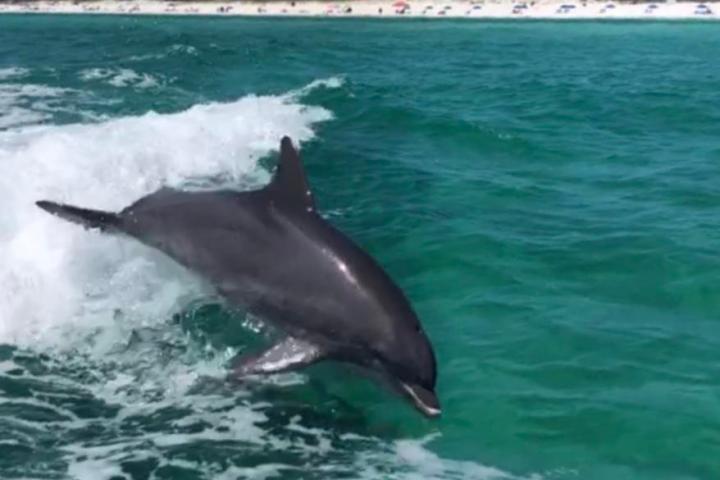 a person riding a wave on top of a body of water